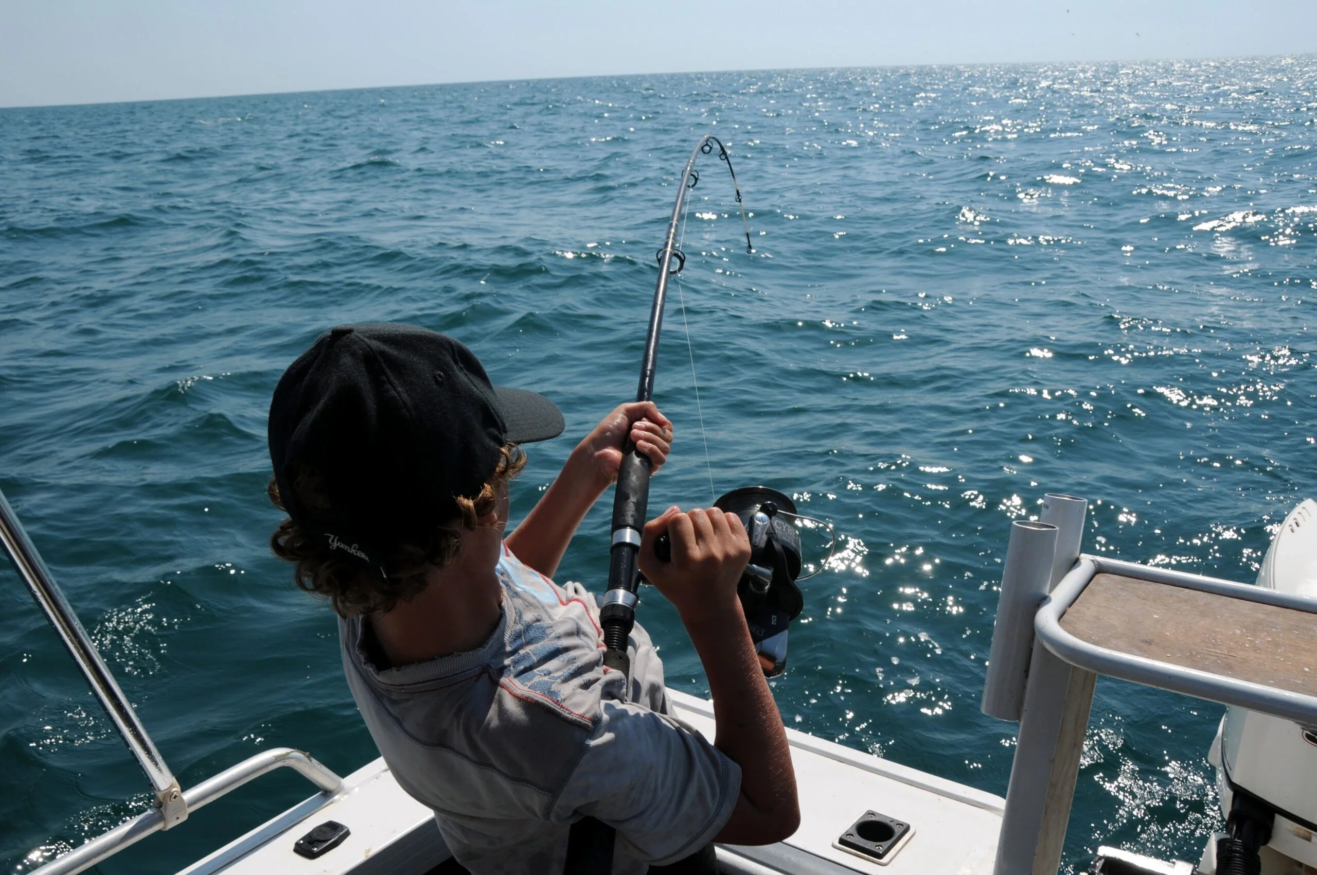 how do fishfinders work